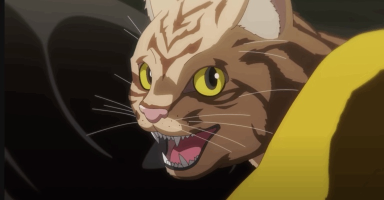 Nyaight of the Living Cat Anime's
